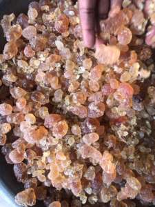 Rikaz's Organic Dried <b>Gum</b> Arabic Natural Food Additives From Acacia Versatile Raw Agricultural Product - Product Image 2