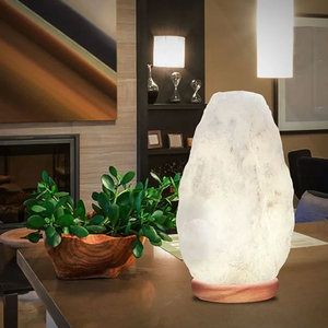 Lampe en sel blanc de l'Himalaya, sel cristallin naturel, lampe de nuit décorative, lampe de table, éclairage pour la maison, la chambre, le bureau, le salon - Product Image 1