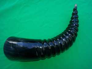 Cornes à boire Viking avec support en corne Fabricant et exportateur de cornes de buffle d'Inde - Product Image 2