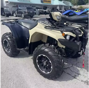 NOUVEAU 2024 KODIAK 450 EPS DIY Grade Personnalisé, Support OEM, Expédition - Product Image 1