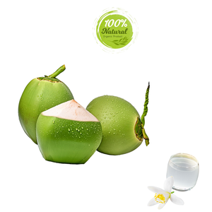 Hidratación de coco fresco vietnamita de los trópicos Producto agrícola Premium - Product Image 1