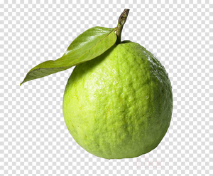 ฝรั่งผลไม้สด - Product Image 6