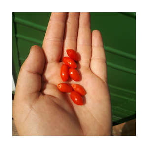 ผลเบอร์รี่โกจิจากธรรมชาติผลเบอร์รี่โกจิสีแดงอบแห้ง - Product Image 2