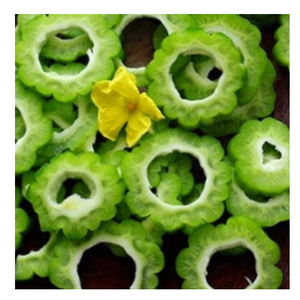 Légumes verts frais surgelés individuellement Melon amer entier de qualité exporté - Product Image 5
