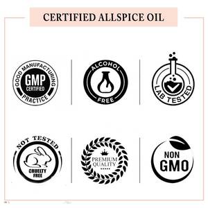 Huile d'angélique pure biologique au meilleur prix / Huile d'angélique pure 100% naturelle en vente au prix de gros - Product Image 5