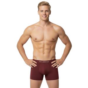 Nouveaux boxers pour hommes Micro Modal Fiber Soft Breathable Thin Section Sexy Four-Corner Briefs avec votre logo personnalisé et Desi - Product Image 2