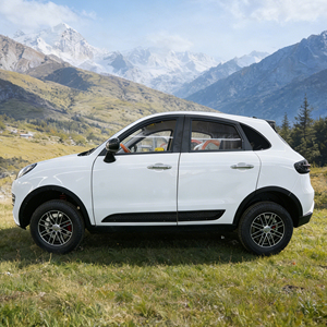 Venta Especial: Mini Auto Eléctrico Personalizado de 4 Ruedas, Vehículo Eléctrico Chino de Nueva Energía - Product Image 5