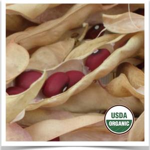 Natural Kidney <b>Beans</b> Bulk Export Kidney <b>Beans</b> For Sale With Trusted Supplier And High Quality Packaging - Product Image 6