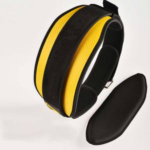 Factory Supply Wholesale Price Nylon Material Premium Quality Adjustable Custom Logo Weight Lifting Gym <b>Belt</b> Weightlifting <b>Belts</b> - Product Image 1