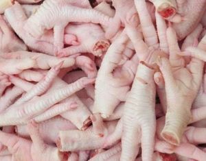 Pattes de poulet congelées de première qualité à bon prix, exportation de pattes de poulet congelées pour le marché prêt à l'emploi - Product Image 1