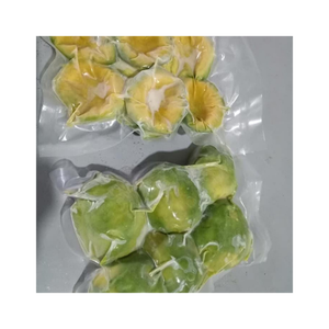 Proveedor de aguacate fresco congelado de Vietnam-Carne verde brillante y aguacate congelado estándar de exportación para compradores a granel - Product Image 6