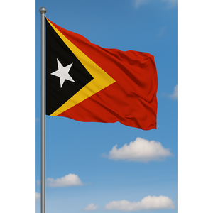 Custom Timor Oriental Exterior <b>Flag</b> Digital Printing Aluminum <b>Pole</b> Pennant Plastic Polyester Silk Automotive Insurance Industry - Product Image 3