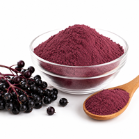 Groothandel Natuurlijk Zwart Vlierbessenextract Poeder Sambucus Nigra Voedingsmiddelenkwaliteit OEM ODM Private Label Bulk Fabriek Leverancier