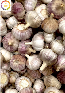 <b>Fresh</b> <b>Garlic</b> Without Stem Custom Packaging Available Upon Request - Product Image 6