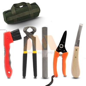 Kit de Herramientas de Herrador Reutilizable, Juego Completo de Instrumentos de Acero Inoxidable para el Cuidado de Cascos, Kit de Herrador Profesional para el Mantenimiento de Cascos de Caballos - Product Image 3
