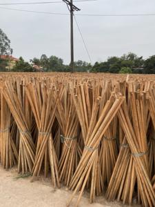 Natural wooden stick wood <b>pole</b> <b>for</b> Plan <b>for</b> Support tree Wood stake Wood handle <b>For</b> fence <b>For</b> <b>garden</b> - Product Image 2