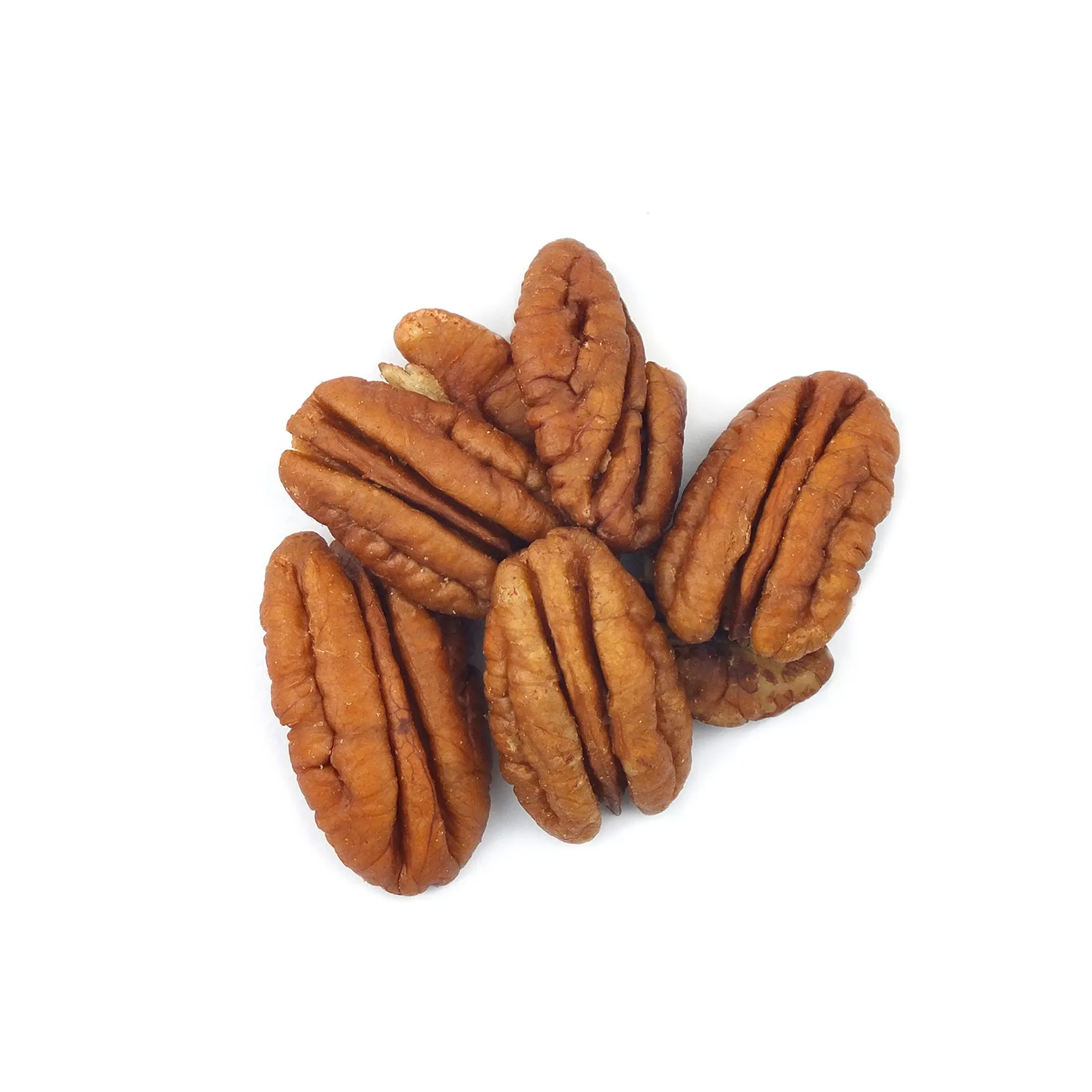 Cheap sales Pecan Nuts/Healthy Organic Roasted Pecan Nuts for sale /High Quality Pecan Nut Roasted Salted