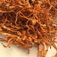 Thé au Cordyceps, cueilli à la main et 100% frais, extrait de champignon Cordyceps militaris - Champignon Cordyceps entier séché