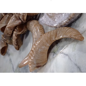 เขาควายแท้ทำเป็นชอฟาร์  ผลิตอย่างประณีตสำหรับใช้ในครัว  เป็นมิตรกับสิ่งแวดล้อม  ทนทาน  งานโลหะทำมือ  สำหรับการบูชาทางจิตวิญญาณ - Product Image 3