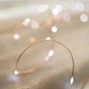 LED6095 - ไฟ LED 100 ดวง ความยาว 32 ฟุต - แสงสีขาวอบอุ่น - Product Image 4