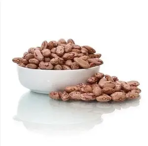 Beli kacang ginjal Rajma Chitra / Chitra kualitas tinggi dengan kualitas segar & dibuat secara organik untuk dijual oleh eksportir