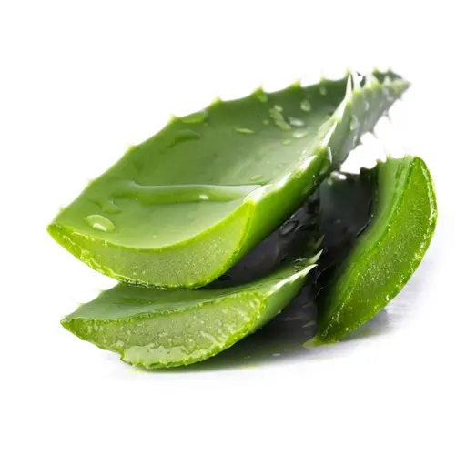 [BESTE WAHL] NATÜRLICHE ALOE VERA VERLÄSST MATERIAL FÜR GETRÄNKE, KOSMETIK AUS VIETNAM GÜNSTIGEM PREIS | TERESA 84971482716 whatsapp