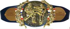 เข็มขัดแชมป์มวยปล้ำเข็มขัดถ้วยรางวัลและรางวัลสัญลักษณ์สูงสุดของชัยชนะและเข็มขัดแชมป์ยอดเยี่ยม - Product Image 4