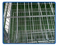 Cage à cailles avec système d'évacuation des œufs, plancher incliné, mangeoire automatique et système d'abreuvement par tétine, conception à niveaux