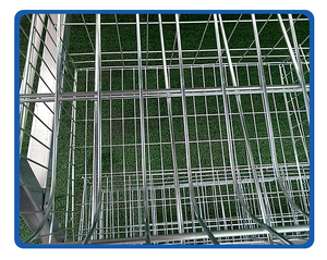 Cage à <span class=keywords><strong>cailles</strong></span> avec système d'évacuation des œufs, plancher incliné, mangeoire automatique et système d'abreuvement par tétine, conception à niveaux - Product Image 6