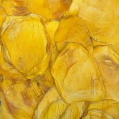 MEILLEUR VENDEUR SAIN MANGUE SÉCHÉE DE QUALITÉ DU VIETNAM-SAC À FERMETURE ÉCLAIR NATUREL BIOLOGIQUE EN GROS 100G - Product Image 5