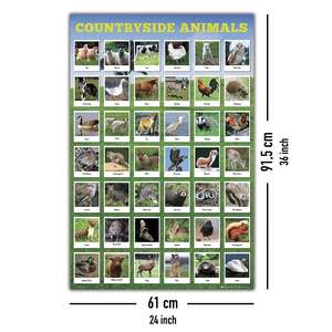 Native Animal Species <b>Poster</b> Black <b>Frame</b> for Wall Decor - Product Image 4