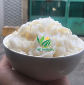 Nata de Coco cruda al por mayor-Saludable, de alta calidad, directo de un proveedor de confianza-Hecho por VIET THIEN PHU de Vietnam - Product Image 2