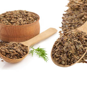 <b>Dill</b> | High Aroma Herb for Spice Manufacturing - Product Image 4