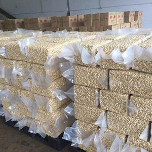 Nueces de Anacardo Enteras Orgánicas al por Mayor WW180, Secas y Frescas, Origen Vietnam, Grado Alimenticio W320/W240/W180 - Product Image 5