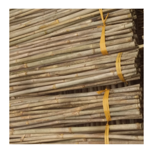 Poteaux de bambou massif naturel pour la construction-Poteau de bambou bon marché en vrac - Product Image 3