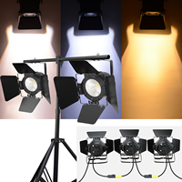100W COB LED allume l'éclairage de scène blanc froid chaud pour les mariages et les églises alimentation ca pour les hôtels