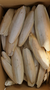 <b>CHEAP</b> PRICE CUTTLEFISH BONE FROM VIETNAM READY to EXPORT - Product Image 5