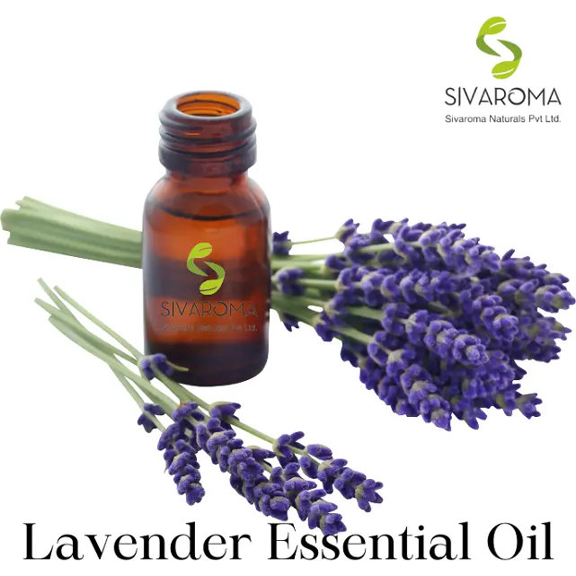Produsen minyak esensial kualitas tinggi menghadirkan minyak esensial Lavender Label pribadi alami murni 100% dalam produksi jumlah besar