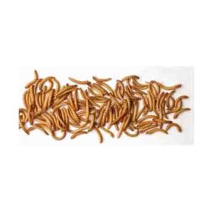 Top - Grade Natural Eco-friendly Dried Mealworms for Animal Food Pet Food - Product Image 6