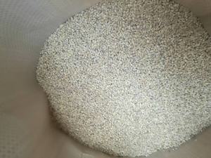 动物饲料大麦家禽饲料小麦麸皮家畜大麦富含蛋白质