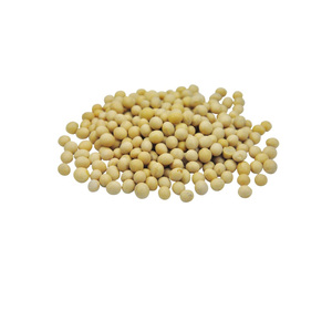 High Quality Organic <b>Soybeans</b> Non-GMO Crop Dried Style Bulk Wholesome Supply - Product Image 4