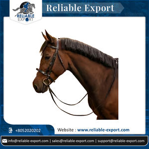 Un fournisseur indien propose des rênes d'entraînement de chevaux robustes à bas prix, réglables en coton pour la marche - Product Image 6