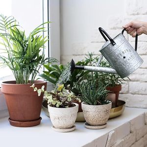 บัวรดน้ำโลหะสำหรับสวนของคุณ, บัวรดน้ำโลหะทนทานสำหรับทุกฤดูกาล - Product Image 1