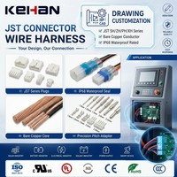 Kabel Kustom dengan Pitch 1.0mm-2.54mm Adaptor 2/3/4/5/6 Pin Kabel Listrik Steker Betina JST SH/ZH/PH/XH Konduktor Tembaga Telanjang IP68