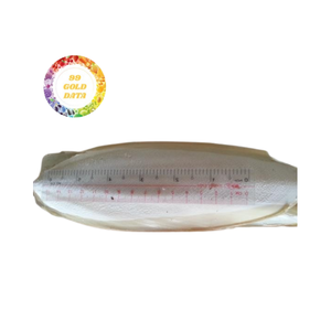 100% Pure Sun-Dried Calcium Supplement Natural Cuttlebone Treats for All Birds with Reasonable Price - Product Image 4