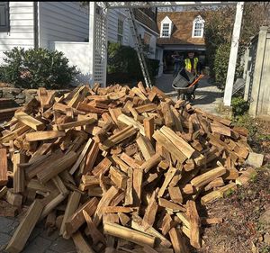 Excellent Hot sale Quality Firewood/Oak fire wood/Beech. - Product Image 5