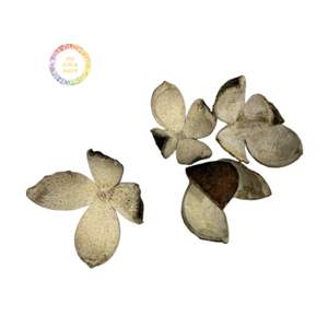 CÁSCARA DE NARANJA VERDE DESHIDRATADA DE ALTA CALIDAD, PIEL GRUESA, PERFECTA PARA BEBIDAS Y USOS CULINARIOS, CÁSCARA DE NARANJA SECA PURA - Product Image 6