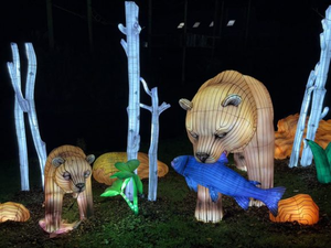 Hayvanlar Fener Festivali Ormanın Kralı Gerçekçi Aslan Fener Fabrikası Hareketlerle Özelleştirilmiş - Product Image 6