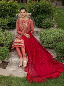 ชุดเดรส3ชิ้นพร้อมคอปัก,ชุดมุสลิมและปากีสถานผู้หญิงชาติพันธุ์สวมสนามหญ้า Salwar Kameez - Product Image 5