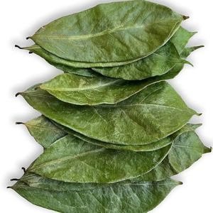 Hojas secas de Guanábana: especias aromáticas para Creaciones únicas - Product Image 6